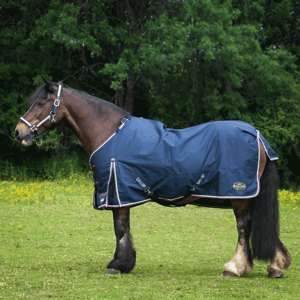 Gallop Duraproof Standard Neck 50g Turnout Rug Navy/Burgundy