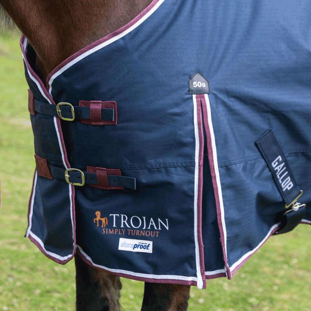 Gallop Duraproof Standard Neck 50g Turnout Rug Navy/Burgundy
