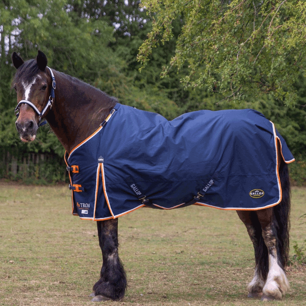 Gallop Duraproof Standard Neck 100g Turnout Rug Navy/Orange