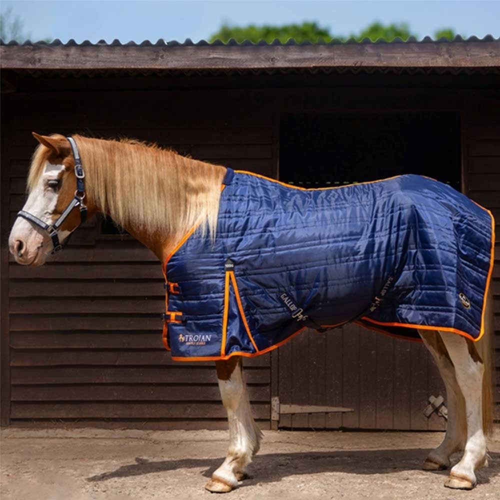 Gallop Trojan Stable Rug Navy/Orange 100g