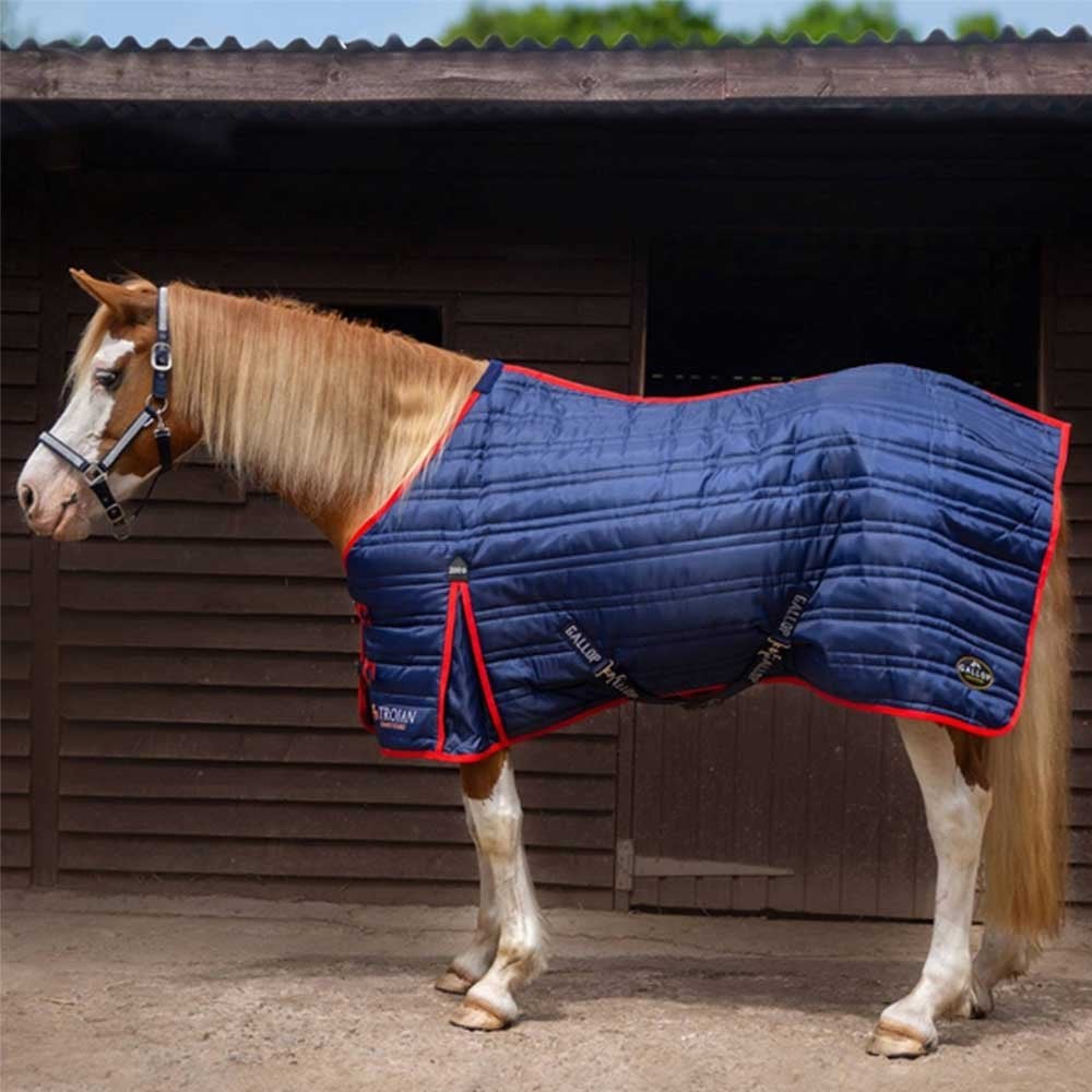 Gallop Trojan Stable Rug 200g Navy/Red