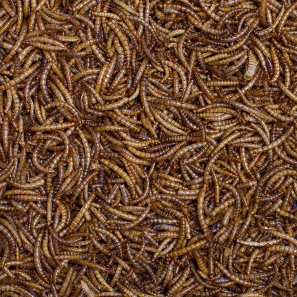 Burnhills Dried Mealworms