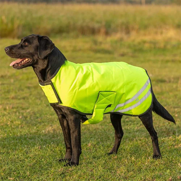 Benji & Flo Reflector Waterproof Dog Coat Yellow