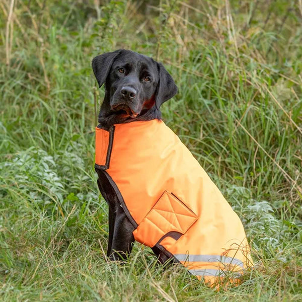 Benji & Flo Reflector Waterproof Dog Coat Orange