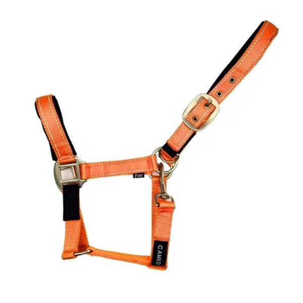 Cameo Fieldsafe Headcoallar Orange/ Reflective