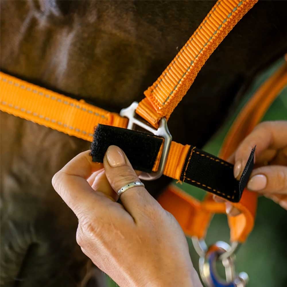 Cameo Fieldsafe Headcoallar Orange/ Reflective