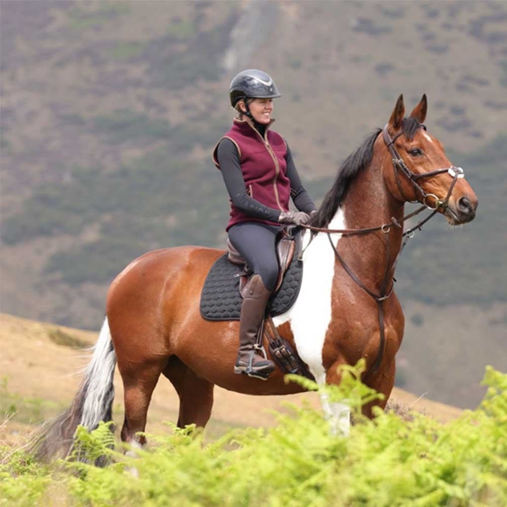 Aubrion Fleece Gilet Maroon
