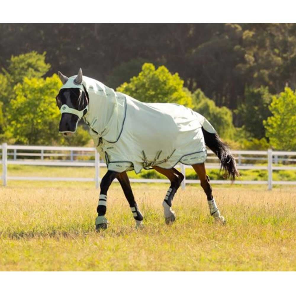 LeMieux Arika Armour Tek Fly Rug Macaron