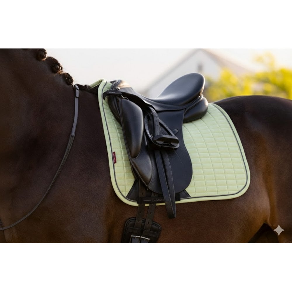 LeMieux Suede Dressage Square Pad Macaron Large