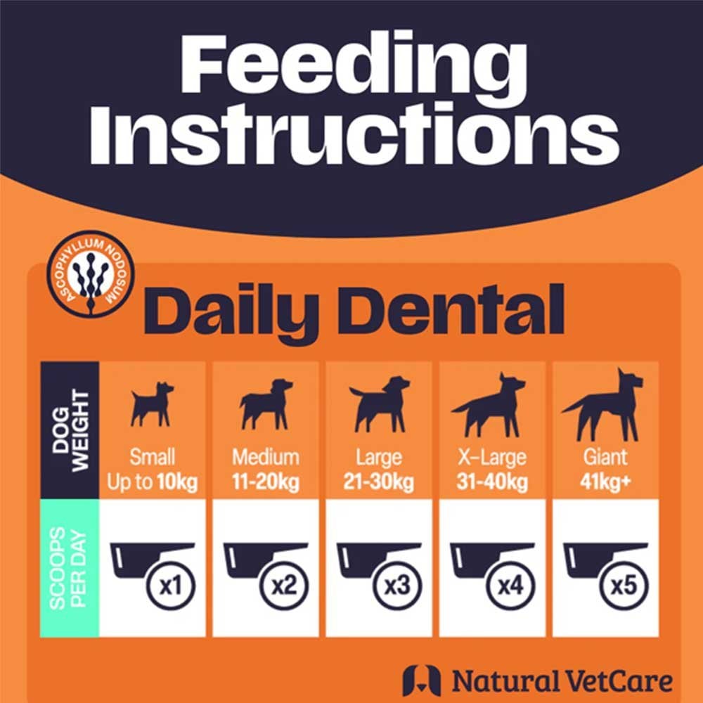 Natural Vet Care Daily Dental 200g