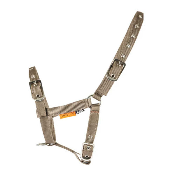 Foal Headcollar Mocha