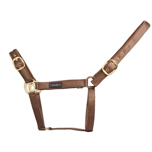 Suede Padded Headcollar Mocha
