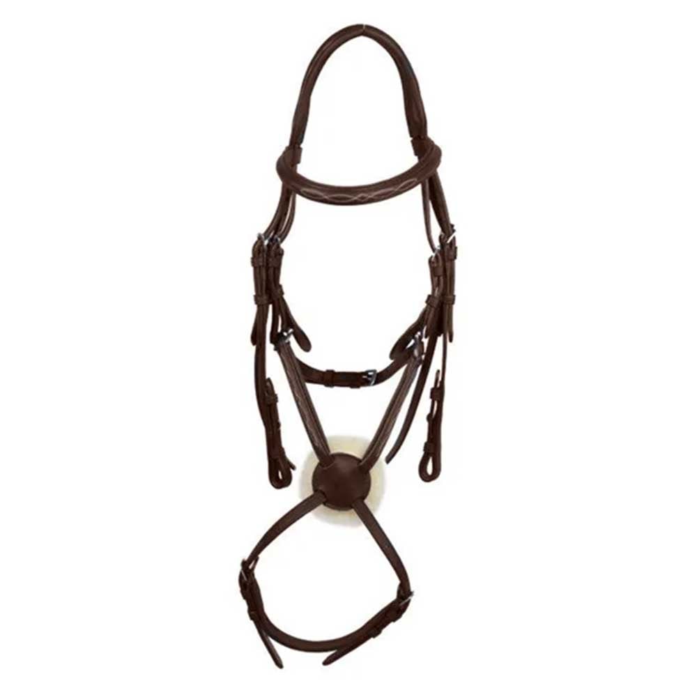 Galway Grackle Bridle