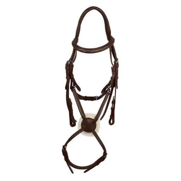 Galway Grackle Bridle