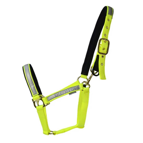 Reflective Fieldsafe Head Collar