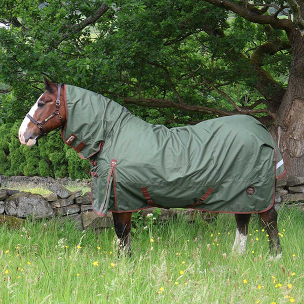Perf Equine Combo 50g Turnout Rug Heritage Olive