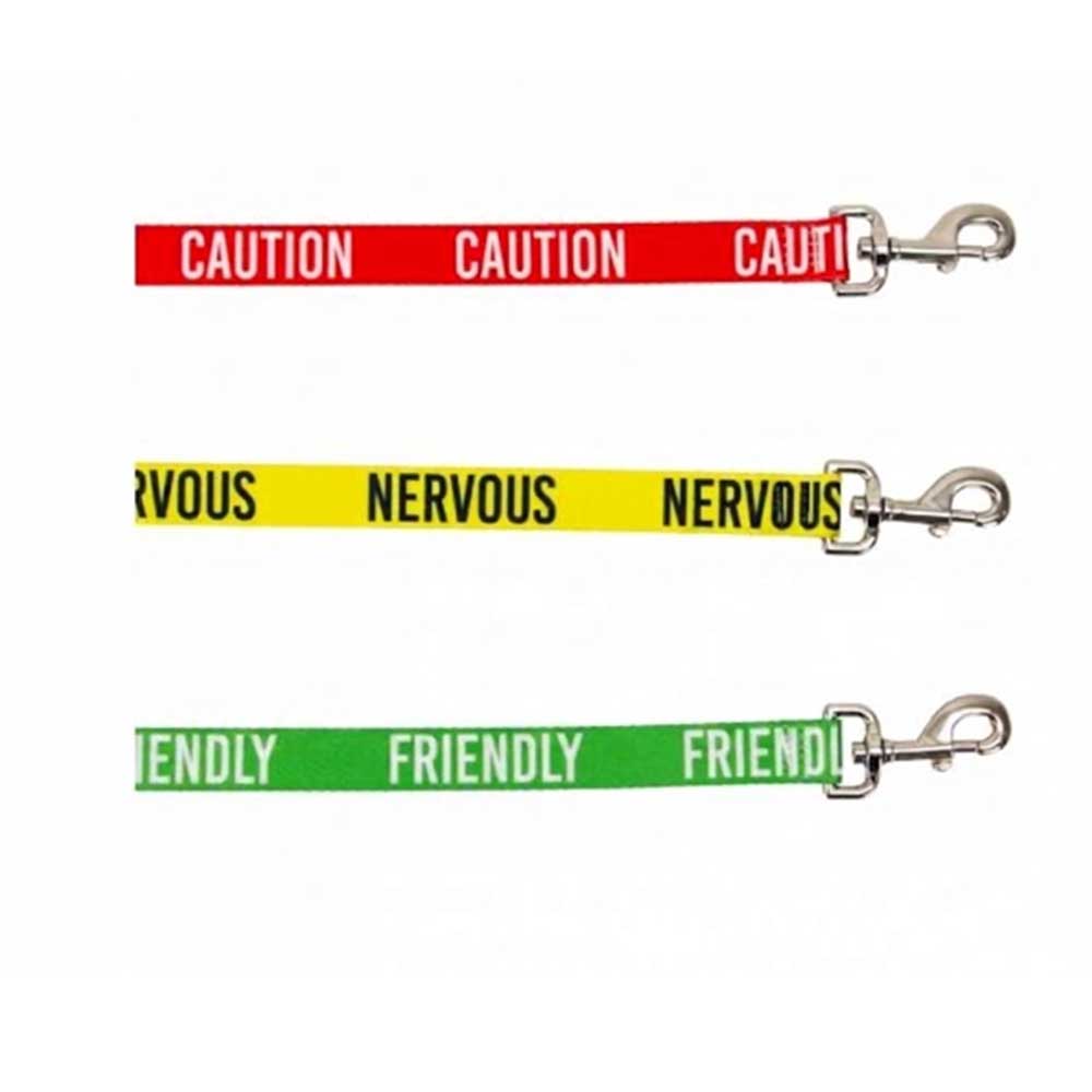 Ancol Awareness Lead