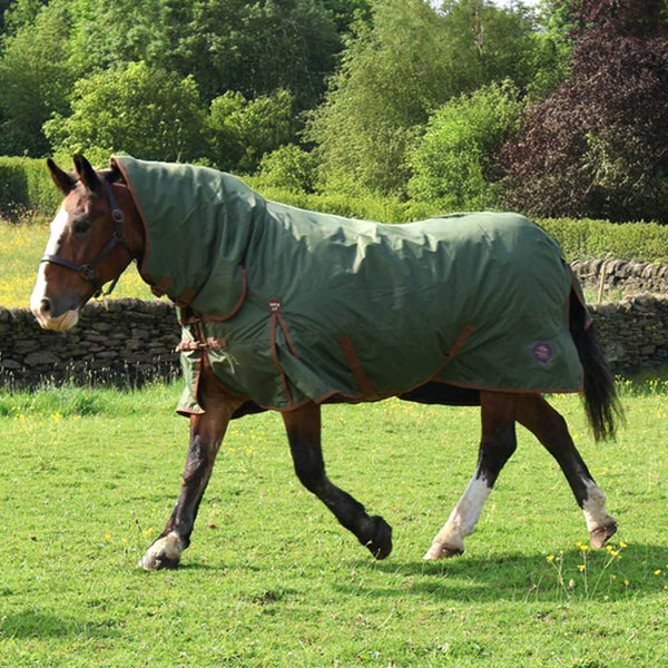 Perf Equine Combo 100g Turnout Rug Heritage Olive