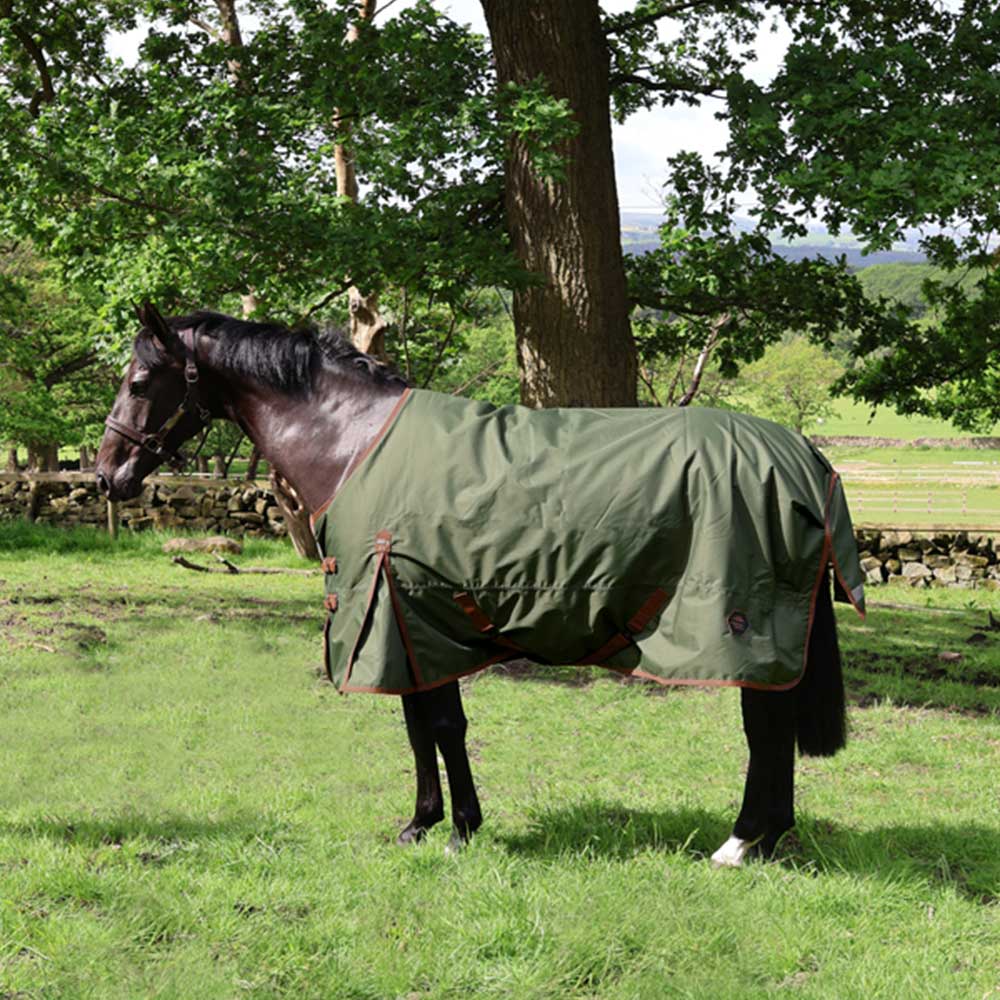 Perf Equine Standard 100g Turnout Rug Heritage Olive