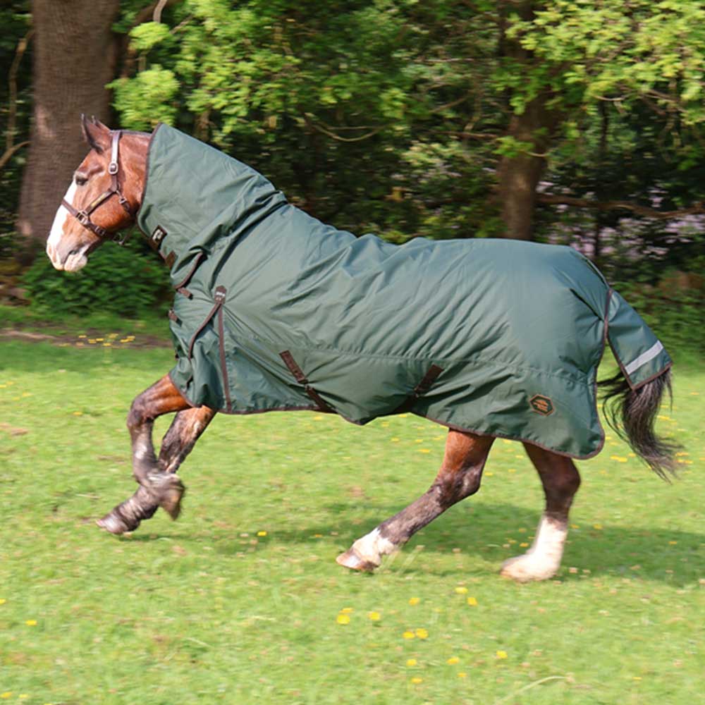 Perf Equine Combo 200g Turnout Rug Dark Green