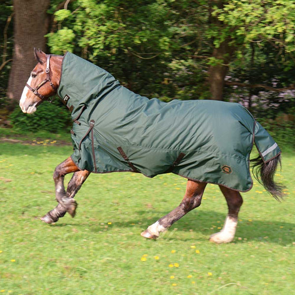Perf Equine Combo 200g Turnout Rug Dark Green