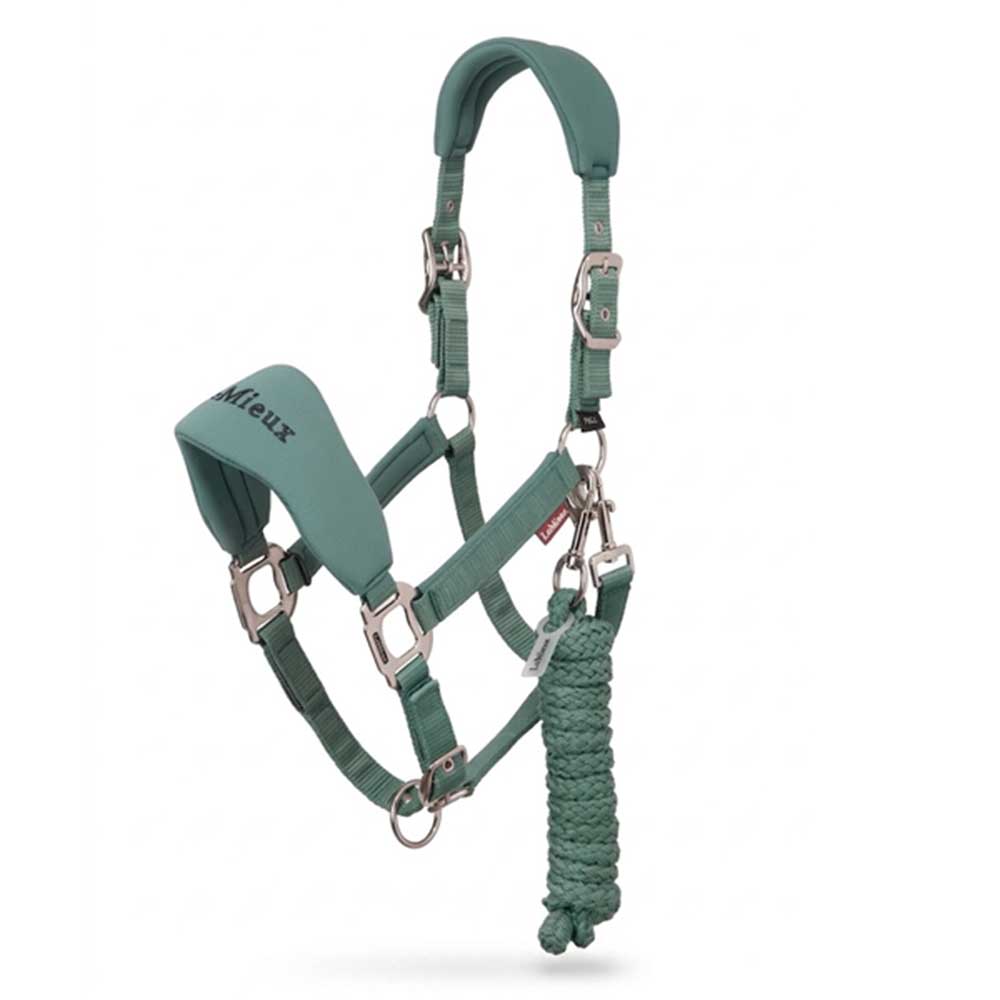 LeMieux Breakaway Vogue Headcollar & Leadrope Aloe