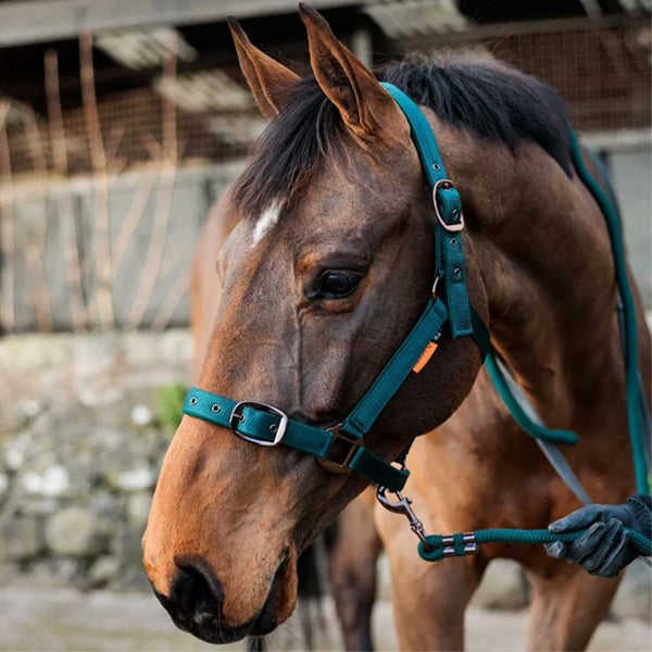 Cameo Suede Padded Headcollar Evergreen