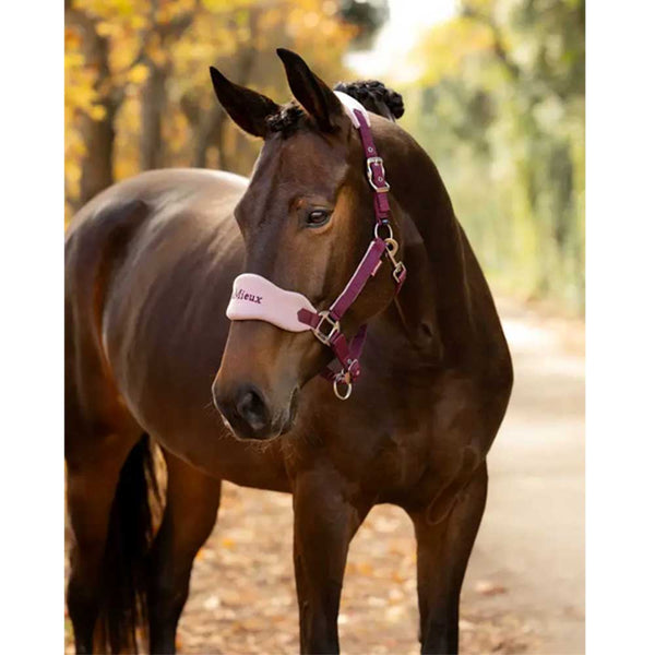 LeMieux Vogue Headcollar & Leadrope Blackberry