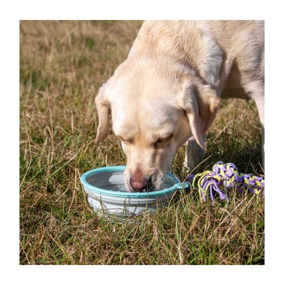 Ancol Collapsible Travel Bowl Medium