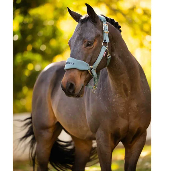 LeMieux Breakaway Vogue Headcollar & Leadrope Aloe
