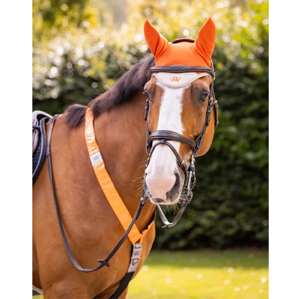 Woof Wear Hi Vis Fly Veil Orange