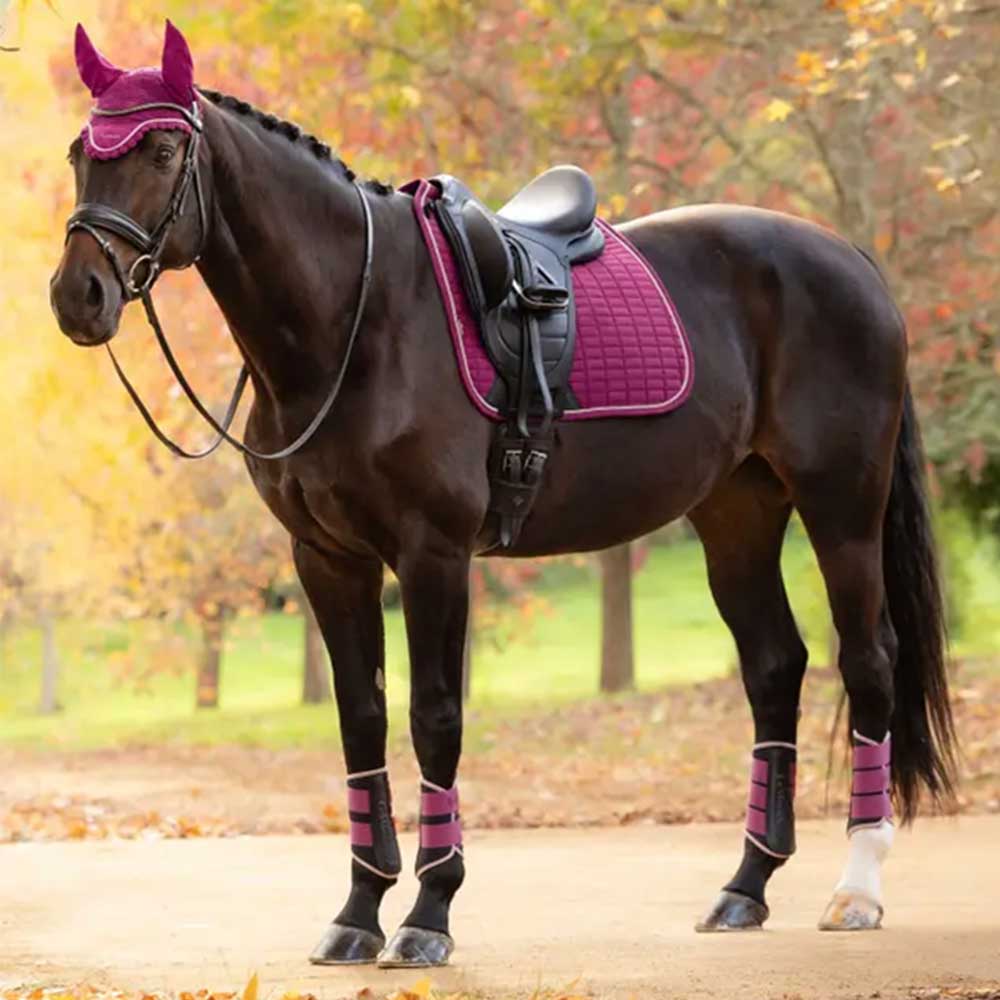 LeMieux Suede Dressage Square Blackberry Size Large