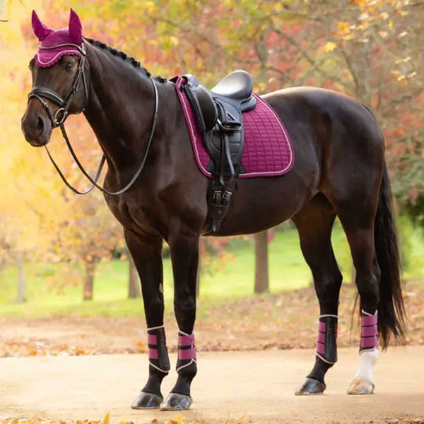 LeMieux Suede Dressage Square Blackberry Size Large