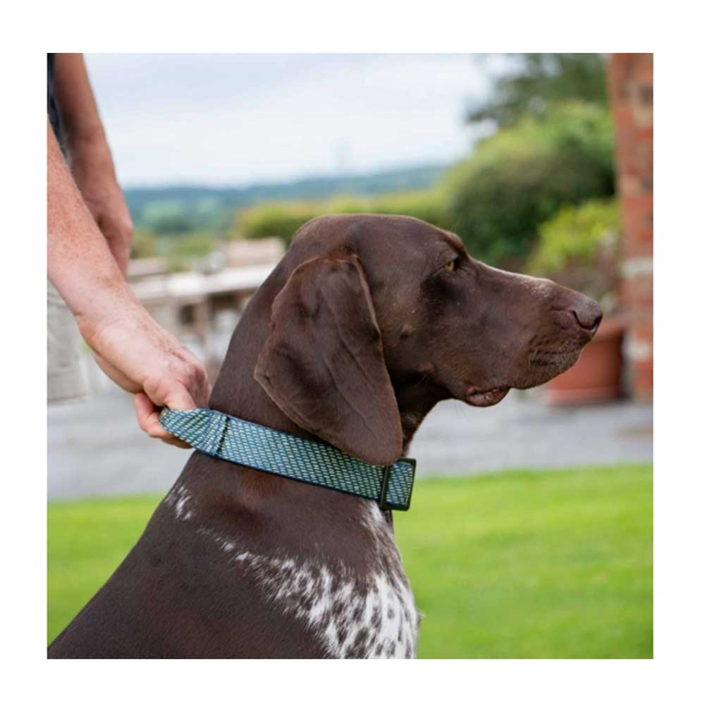 Ancol Extreme Collar with Grab Handle