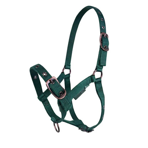 Cameo Foal Headcollar Evergreen