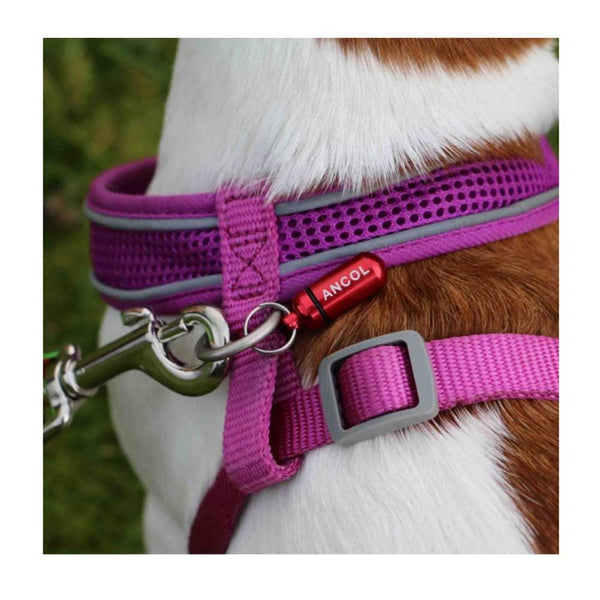 Ancol Aluminium Dog ID Tube