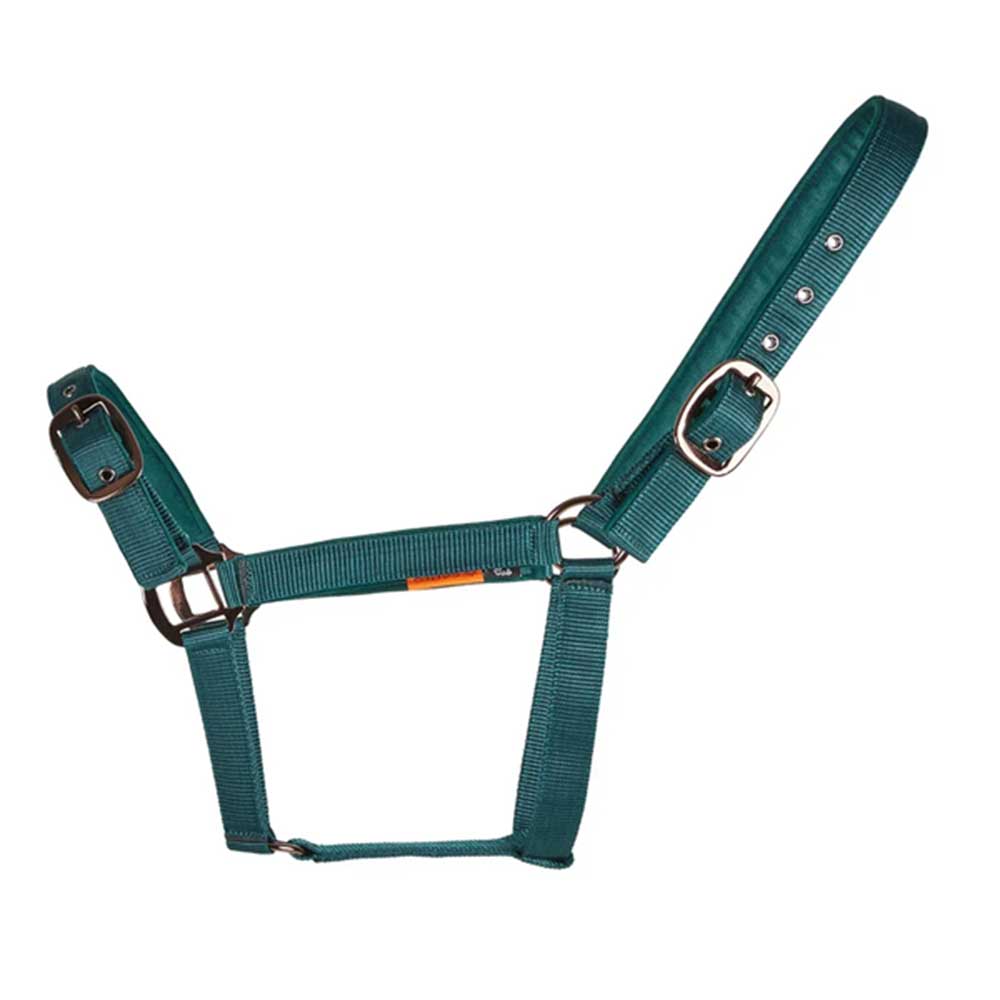 Cameo Suede Padded Headcollar Evergreen