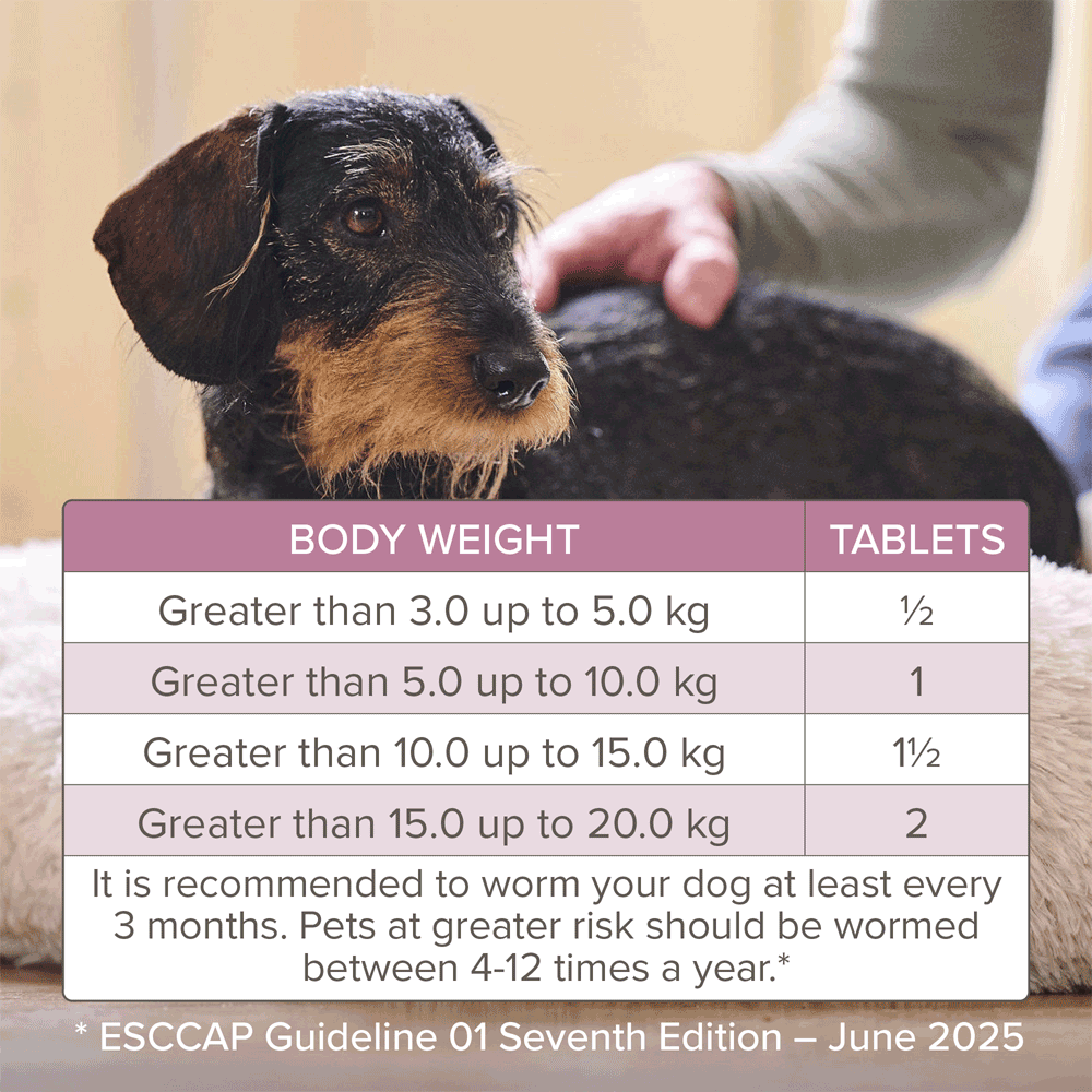 Beaphar WORMclear Tablets For Dogs (up to 20kg) 2 Tablets