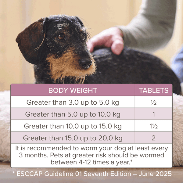 Beaphar WORMclear Tablets For Dogs (up to 20kg) 2 Tablets