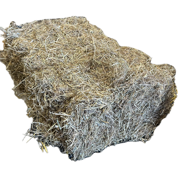 Burnhills Mini Banded Hay 12.5Kg