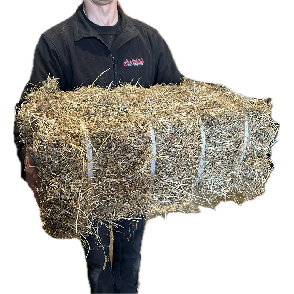 Burnhills Mini Banded Hay 12.5Kg
