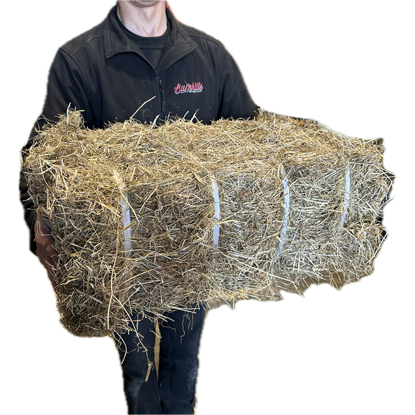 Burnhills Mini Banded Hay 12.5Kg
