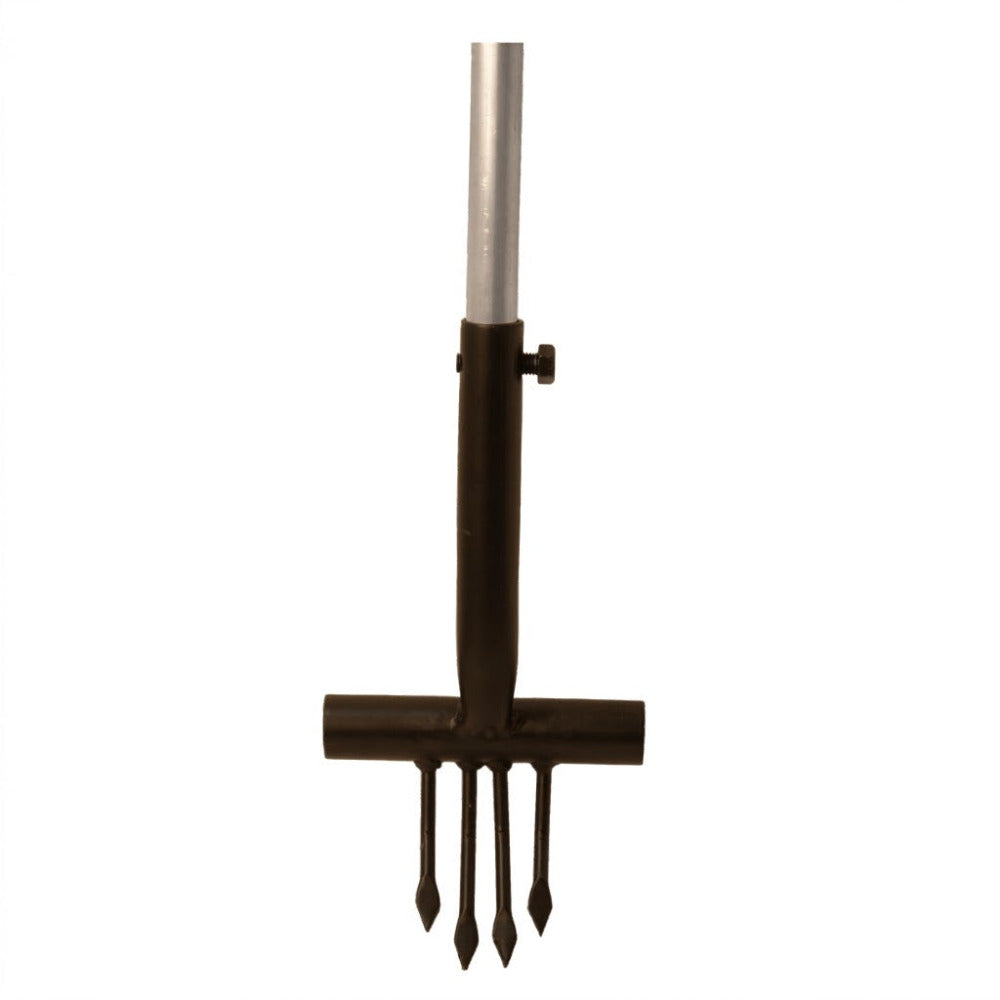 Ragwort Fork Black