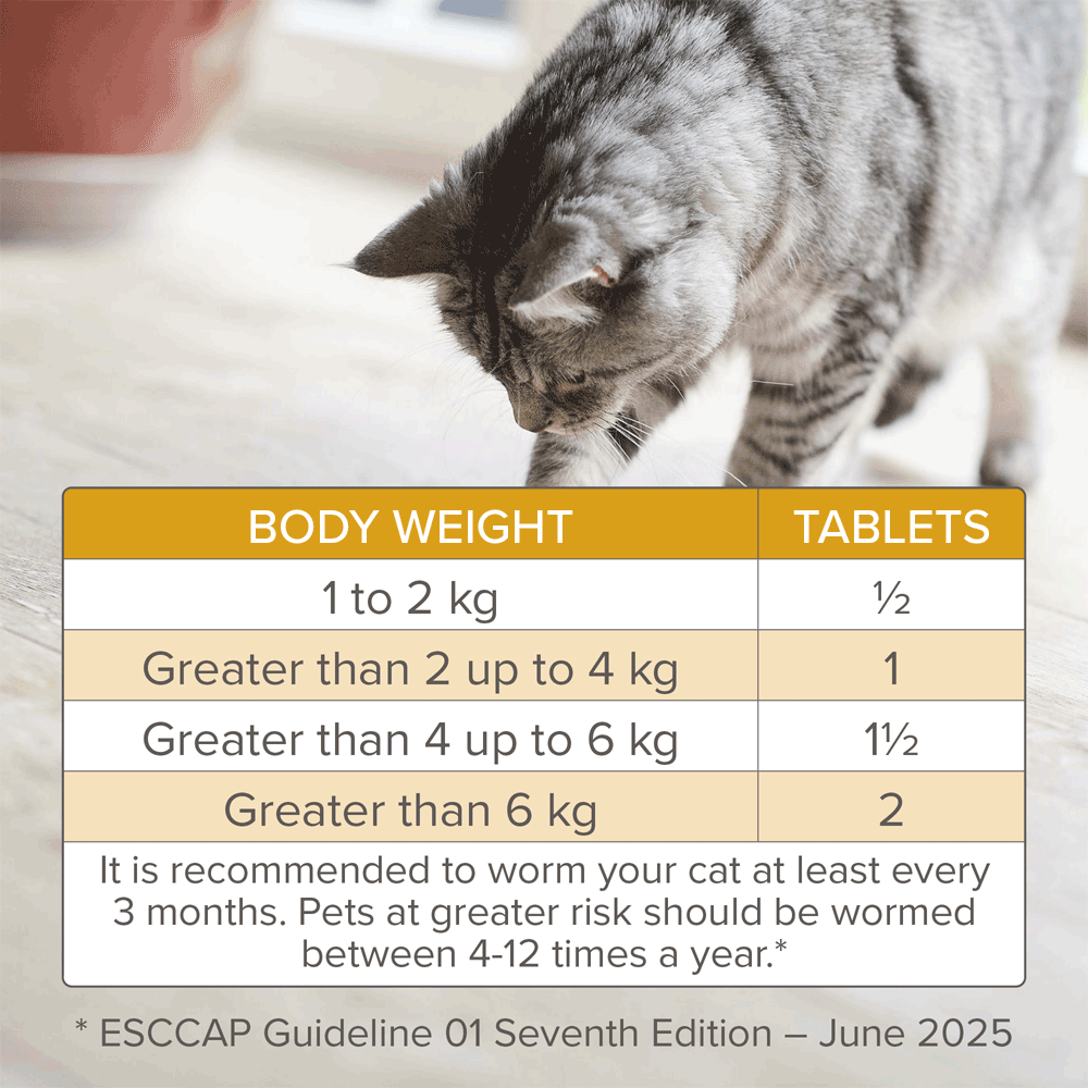 Beaphar WORMclear Tablets For Cats 2 Tablets