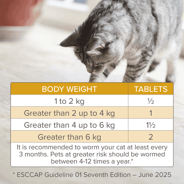 Beaphar WORMclear Tablets For Cats 2 Tablets