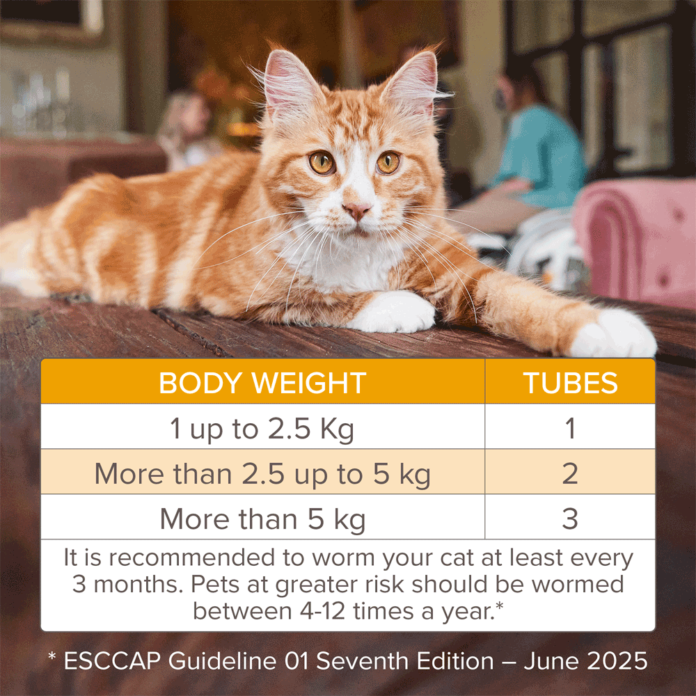 Beaphar WORMclear Spot On Solution For Cats 2 Pipettes