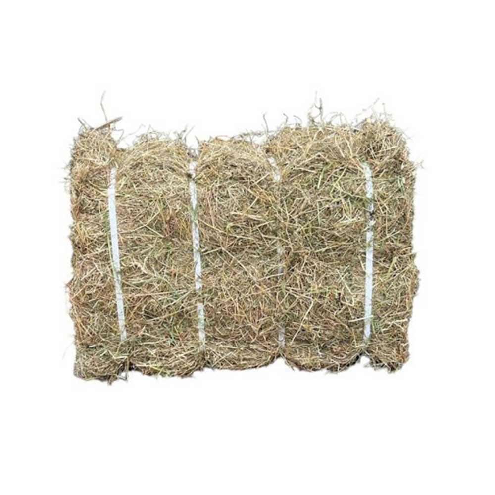 Burnhills Mini Banded Hay 12.5Kg