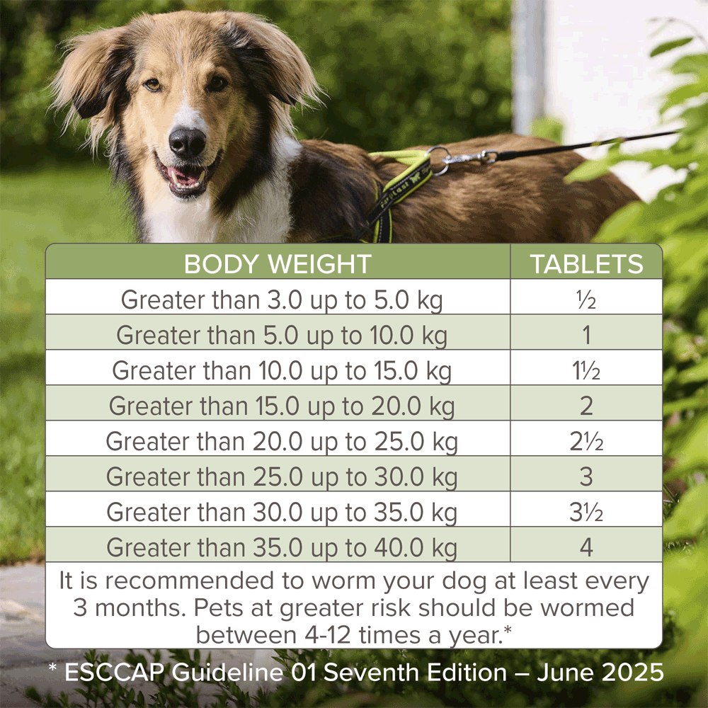 Beaphar WORMclear Tablets For Dogs (up to 40kg) 4 Tablets