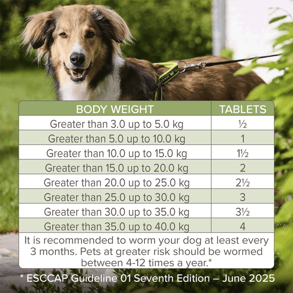Beaphar WORMclear Tablets For Dogs (up to 40kg) 4 Tablets